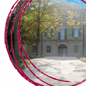 2025: numeri e fatti che raccontano un percorso in crescita