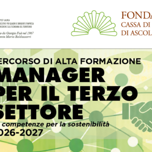 Manager per il terzo settore